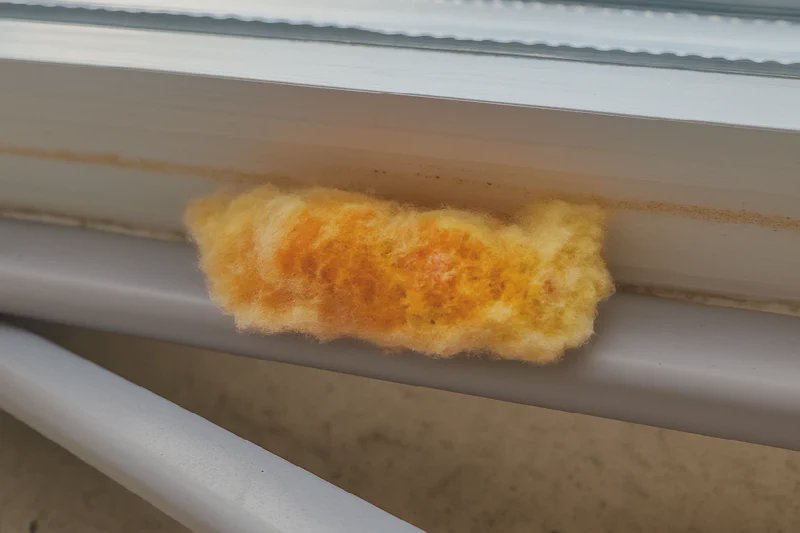 Nid d’abeille solitaire dans un cadre de fenêtre